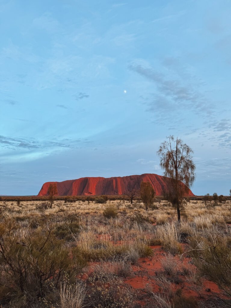 IMG_4273-768x1024.jpg Alps Edition - Image 3